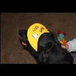 IMG_9488.jpg