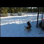 IMG_9549.jpg