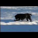 IMG_9551.jpg