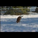 IMG_9552.jpg
