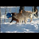 IMG_9564.jpg