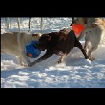 IMG_9565.jpg