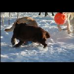 IMG_9567.jpg