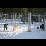 IMG_9574.jpg