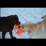 IMG_9587.jpg