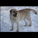 IMG_9590.jpg