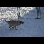 IMG_9592.jpg