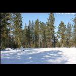 IMG_9449.jpg